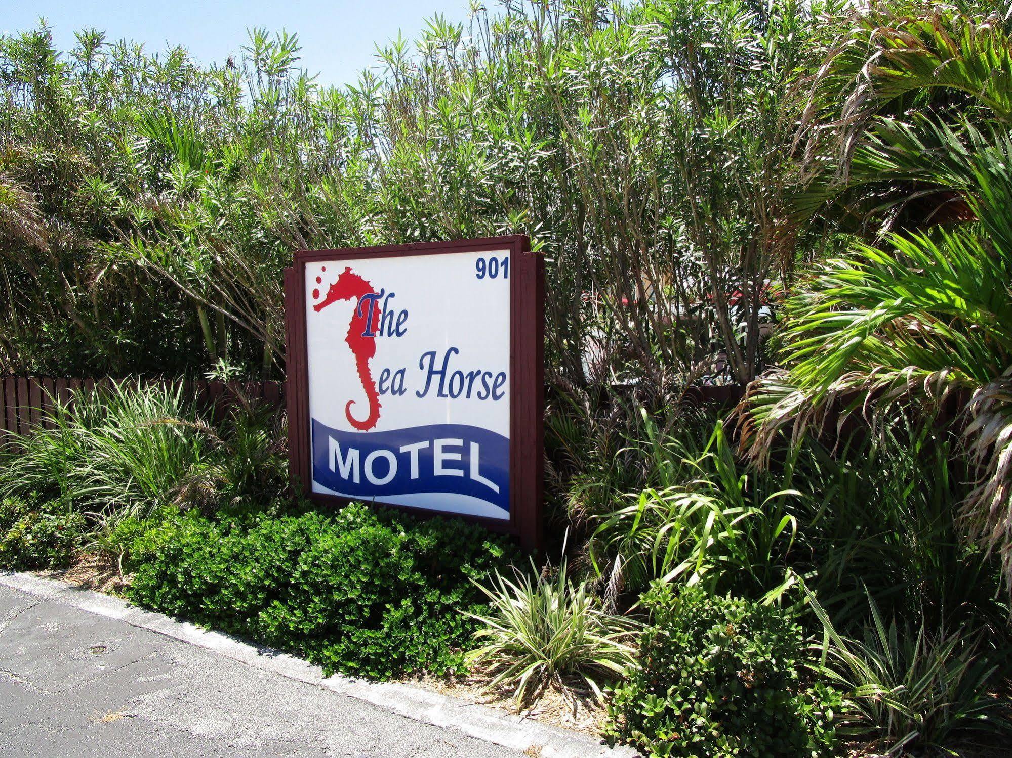 Seahorse Guesthouse 帕诺滩 外观 照片